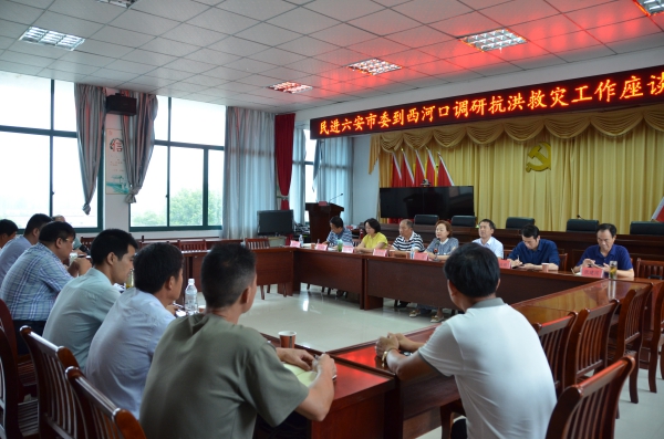 西河口乡座谈.jpg