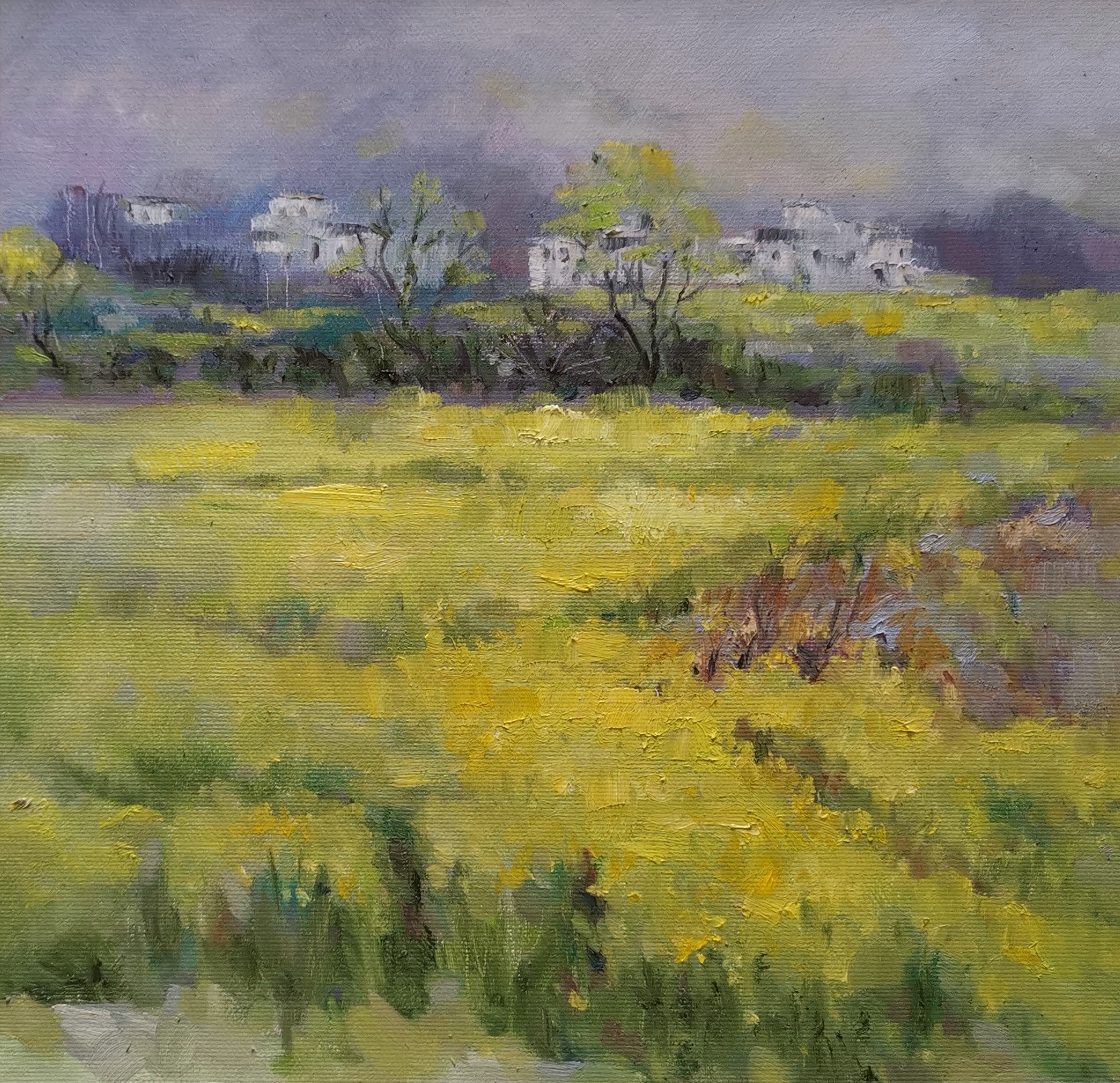 潘闻《田野》油画.jpg