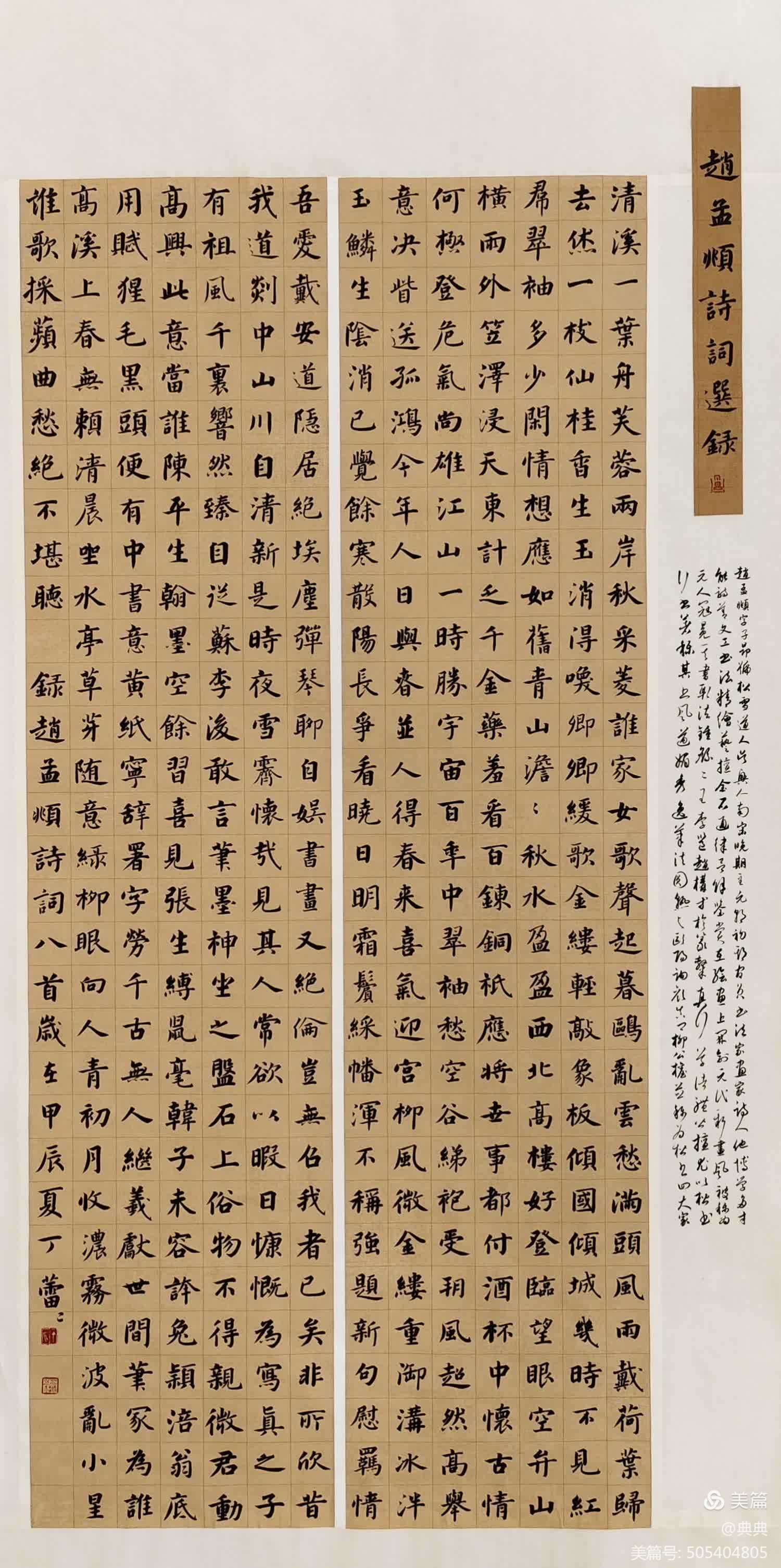 丁蕾蕾 书法《赵孟頫诗词选录》.jpg
