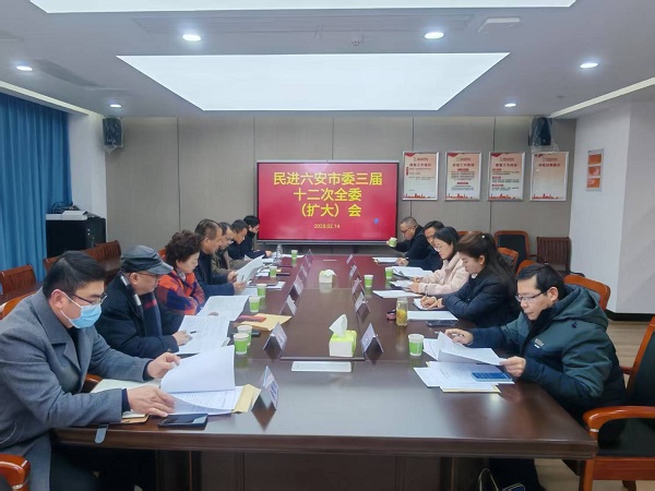 民进六安市委会三届十二次全委（扩大）会.jpg